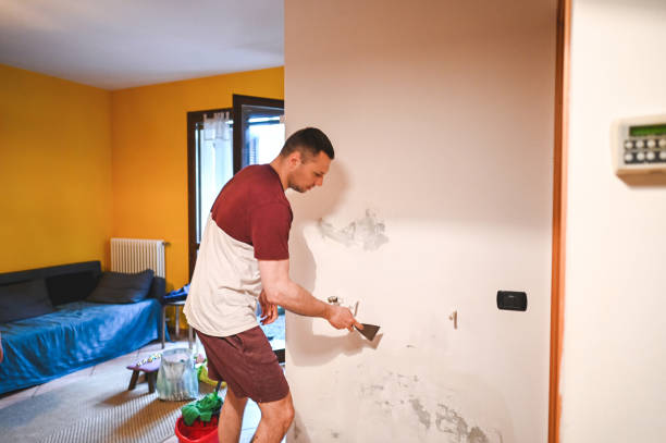 Best Mold Removal and Inspection  in Crofton, MD